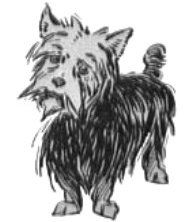 Yorkshire Terrier from the Wizard of Oz